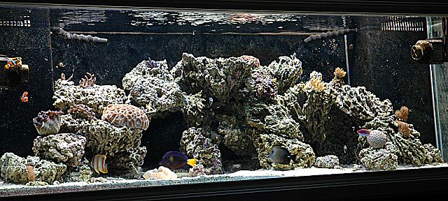 durso s 180 gallon