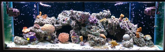durso s 180 gallon