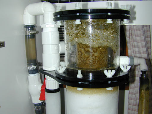 rs-foaming01.jpg (25k)