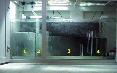 sump0.jpg (14k)